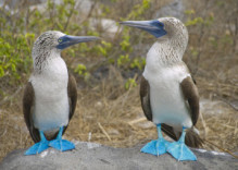 NATURPARADIES GALAPAGOS